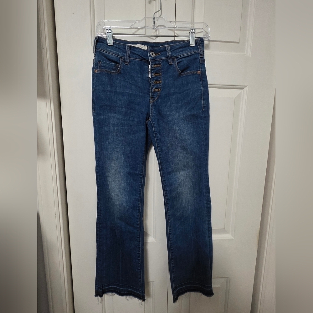 Pilcro and the Letterpress Flare High Rise Jeans By Anthropologie Size 26